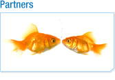Partner