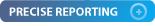 Precise Reporting